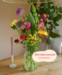 Mini Bloemenabonnement | 3 Boeketten | Stopt Automatisch