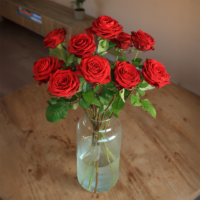 rozen abonnement