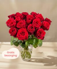 rode rozen bestellen gratis bezorging