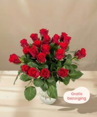 valentijnsrozen gratis bezorging