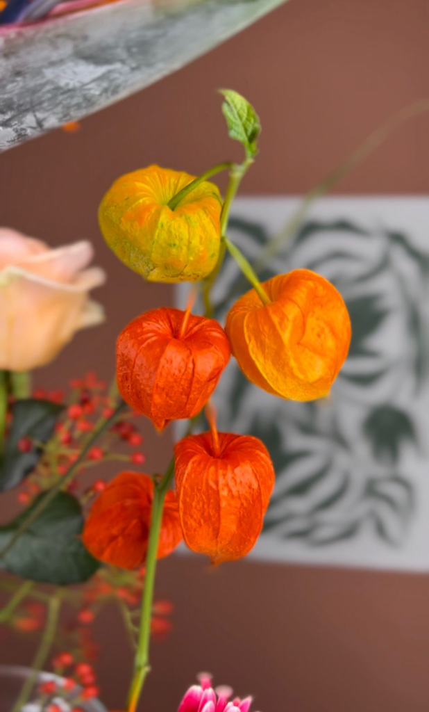 physalis
