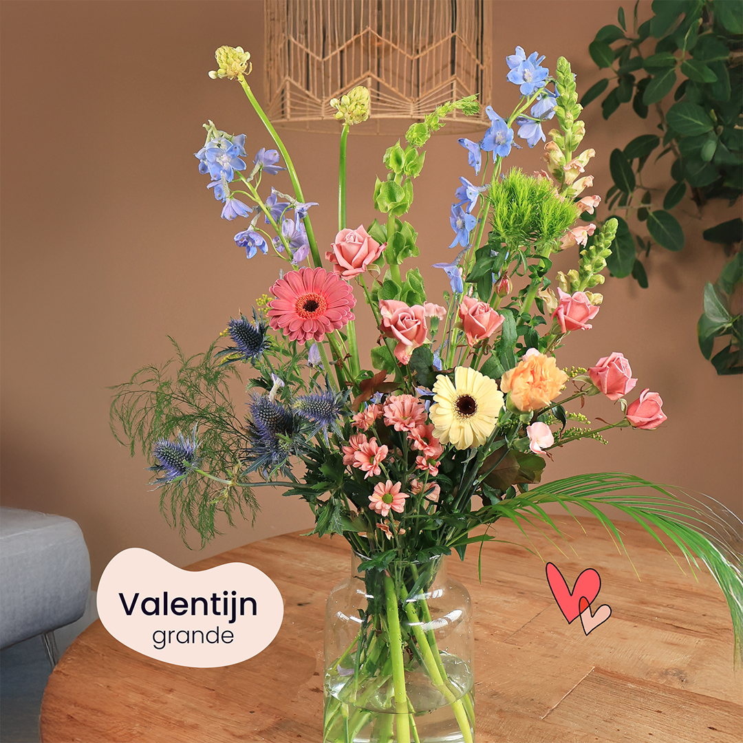 VALENTIJN GRANDE VELD VIERKANT