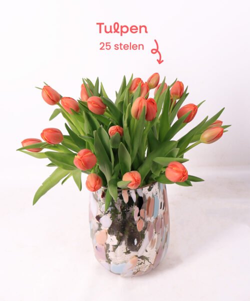 Tulpen