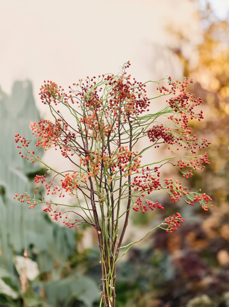 rozenbottel herfstbloem