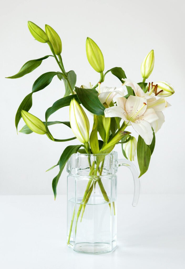 witte lelie
