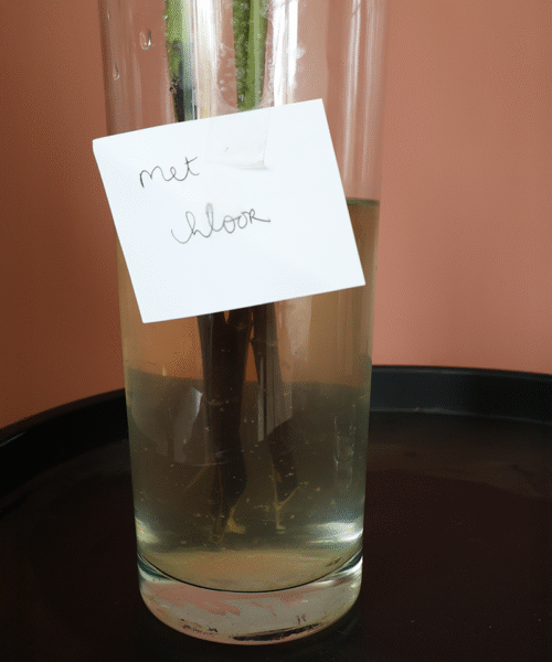 met chloor water vaas
